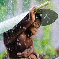 mengintip-indahnya-alam-kalimantan-dari-dekat-indonesia-itu-keren-gan