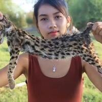 ingin-jadi-youtuber-pasangan-ini-buat-video-memasak-dan-memakan-kucing-kadal