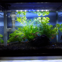 aquarium-thingy-for-starter-dari-newbie-untuk-newbie---part-1