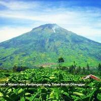 pesugihan-di-gunung-slamet