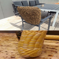 kotoran-burung-membentuk-burung-itu-sendiri-inilah-9-hal-unik-penuh-keanehan