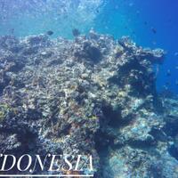 rencana-jadwal-ajakan-trip-domestik-share-disini-yaaaa---part-1