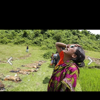 amnesty-international-rohingya-juga-lakukan-pembantaian