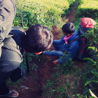 kisah-menembus-waktu--bertemu-diri-sendiri-di-segoro-wedi--puncak-sindoro