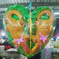 7-hewan-penganut-monogami-no-6-layak-dicontoh-oleh-manusia