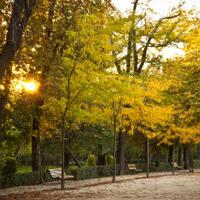 berekreasi-ke-el-parque-de-retiro-madrid