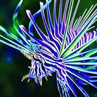 10-hewan-laut-paling-berbahaya