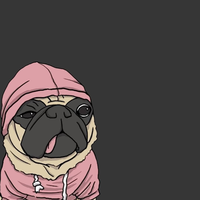 main-tebakan-skrinsut-yok