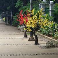 setujukah-kamu--bila-pohon-imitasi-menghiasi-trotoar-jalan