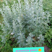 english-forum-lounge--welcome-home-fellas---part-5