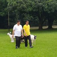 34-dpd-golkar-minta-airlangga-jadi-cawapres-jokowi