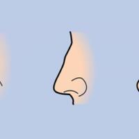 tebak-karakter-dari-bentuk-hidung-yuk-gan