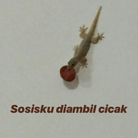 lounge-formil-raya--marhaban-ya-ramadhan---part-3