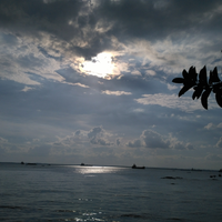 coloring-book-was-here