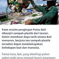 ketika-bayi-anjing-laut-mati-dengan-sampah-plastik-di-perutnya