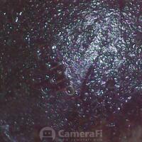 hyundai-trajet-community---part-1