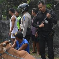 ngamuk-polisi-tembak-kaki-sapi-di-solo