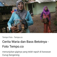 ini-dia-7-alat-musik-petik-tradisional-dari-berbagai-negara