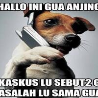 main-kaskus-rasanya-anjing-banget