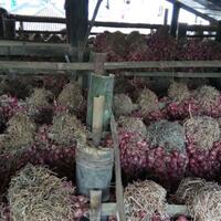 petani-untung-konsumen-tersenyum-menyambut-idul-fitri-2018