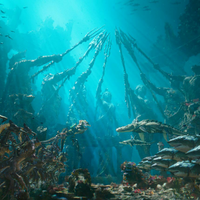 post-image