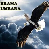 6-karakter-hewan-paling-setia-di-jagat-film