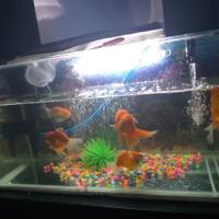 maskoki-ngomongin-semuanya-ttg-maskoki-yuk---part-5