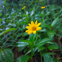 official-lounge-xiaomi-redmi-note-5-pro---all-rounder