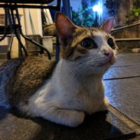 official-lounge-xiaomi-redmi-note-5-pro---all-rounder