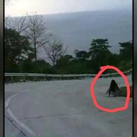 ini-kata-polisi-dan-mui-soal-penampakan-di-geopark-ciletuh