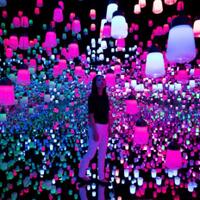 hut-491-dki-pemprov-gratiskan-museum