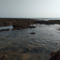 pantai-laguna