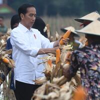 jokowi-pangan-urusan-masa-depan