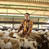 pertama-kali-ri-ekspor-domba-ke-malaysia-sekitar-60000-ekor