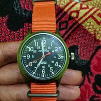 all-about-timex