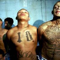 133-politikus-meksiko-dibunuh-menjelang-pemilu