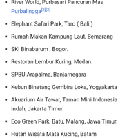 masudin-di-deadline-1-bulan-serahkan-arapaima-peliharaannya