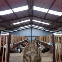 10-potret-miris-hotel-untuk-backpacker-di-jepang-berdiri-aja-susah