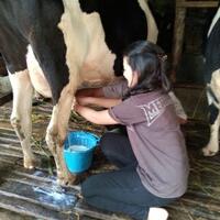 new--freshwater-fish-lounge---part-3