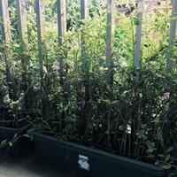 ijepret---share-your-moment-here