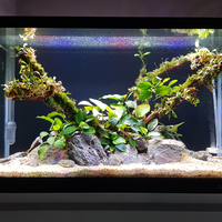 aquascape-for-everyone-learning-and-sharing---part-3