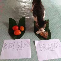 prediksi-prancis-vs-belgia-duel-sengit-di-lini-tengah