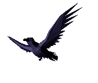 survei-masjid-terindikasi-radikal-p3m-punya-rekaman