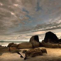 alun-alun-nikonian---part-14