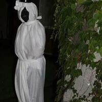 new--freshwater-fish-lounge---part-3