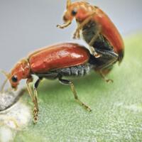 digenjot-suami-orang-lain-gebby-vesta-ribut-gara-gara-bayaran