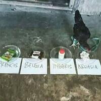 prestasi-terbaik-belgia-di-piala-dunia-diraih-di-rusia