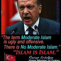 pandangan-ustadz-felix-siauw-terkait-istilah-islam-nusantara-dan-islam-arab