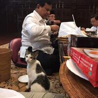 gerindra-beri-klarifikasi-terkait-beredarnya-foto-prabowo-yang-makan-bersama-kucing