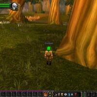 beta-tester-wanted-wow-private-server-indonesia